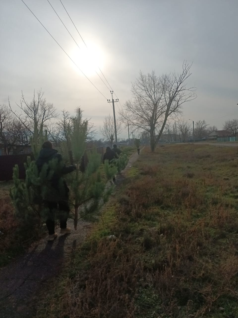 Постер к социальной практике: Единство слова и дела.