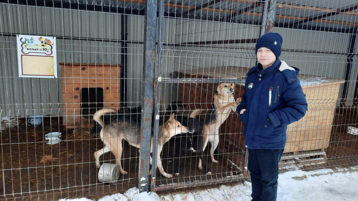 Постер к социальной практике: Операция "КотоПёс"