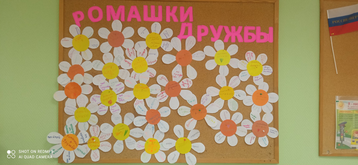 Постер к социальной практике: Ромашки дружбы