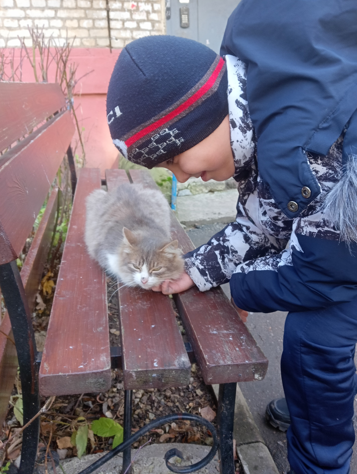 Постер к социальной практике: Помощь бездомным животным