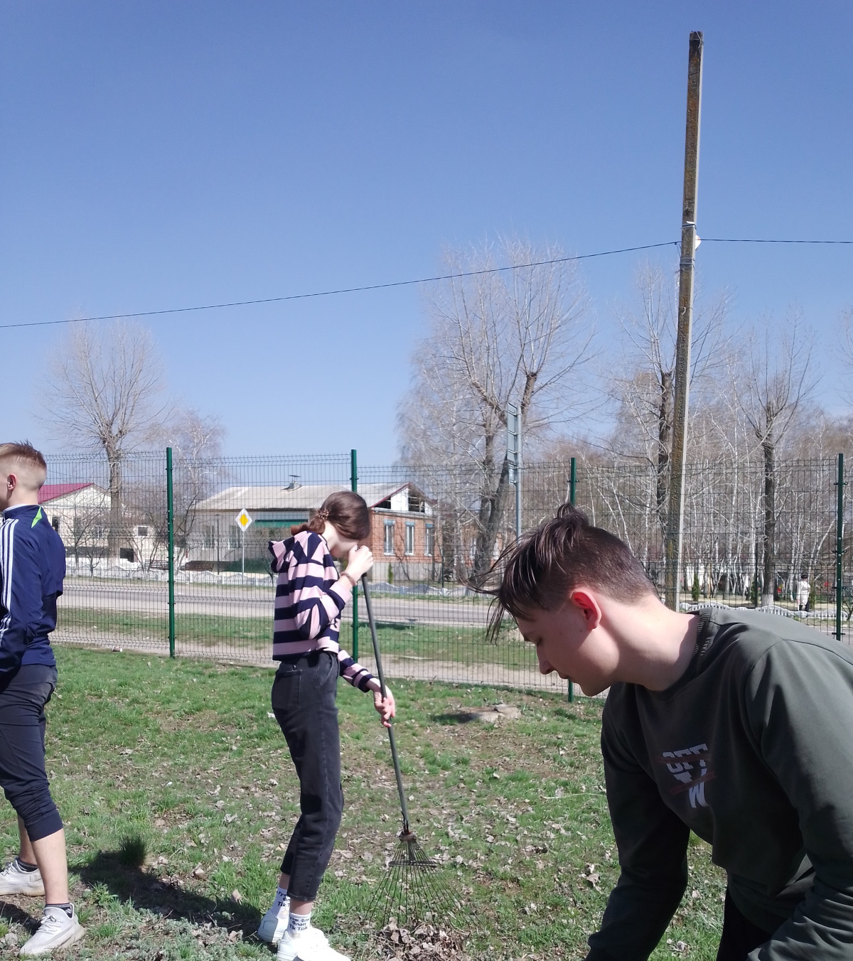 Постер к социальной практике: Красота природы