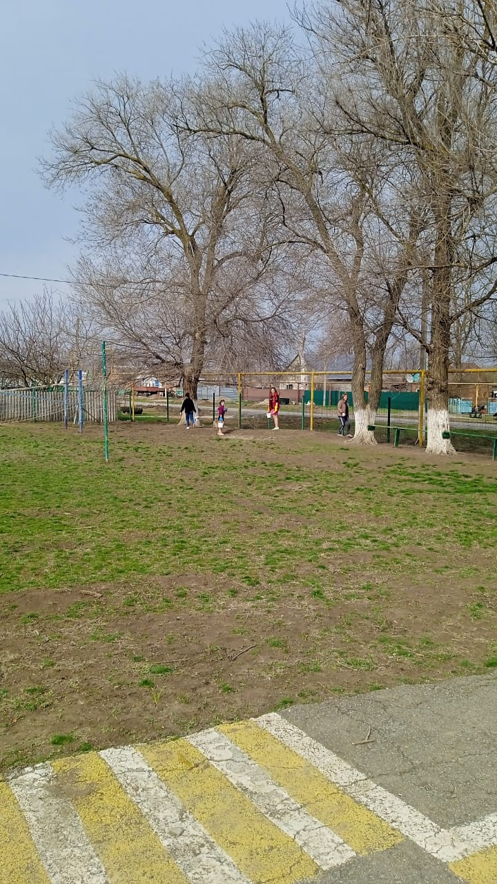 Постер к социальной практике: Помощь природе.