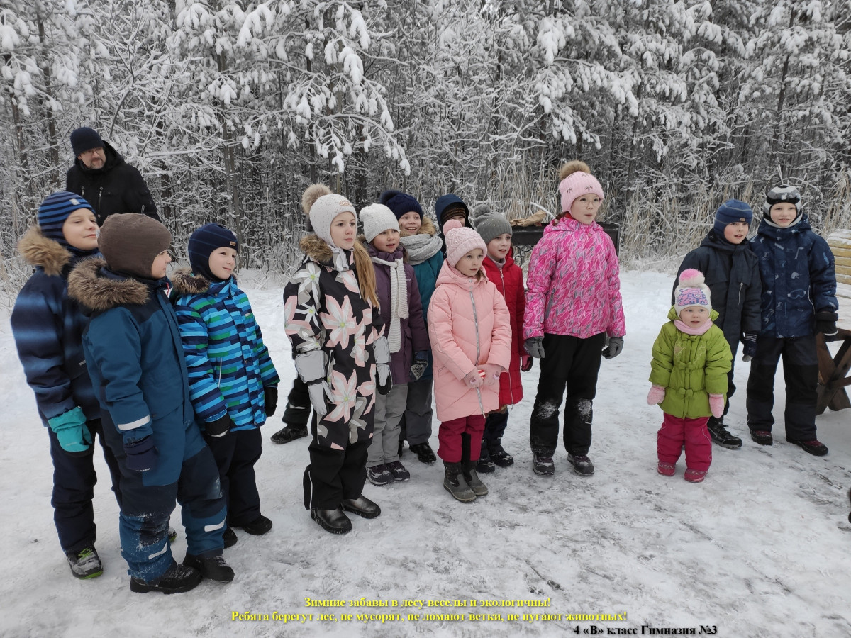 Постер к социальной практике: Практика "Эколята"