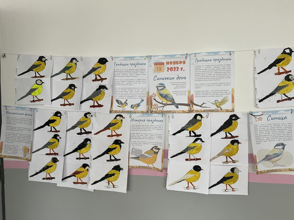 Постер к социальной практике: Синичкин денб