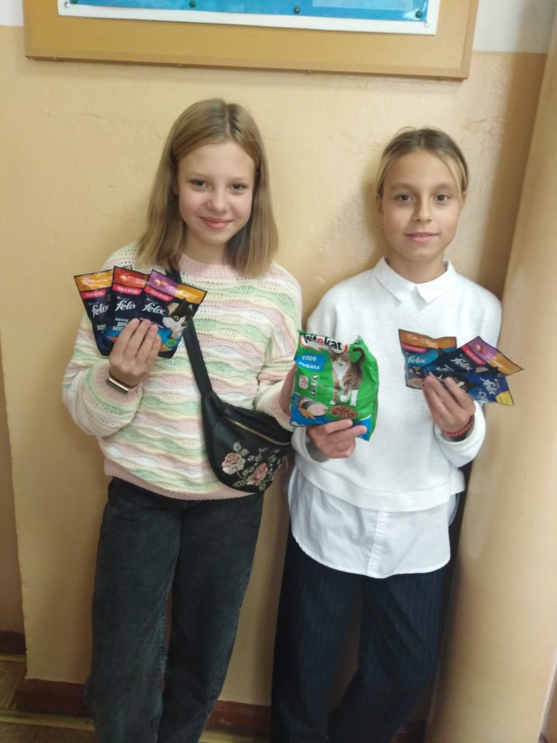 Постер к социальной практике: ‘’Мы в ответе за братьев наших меньших’’