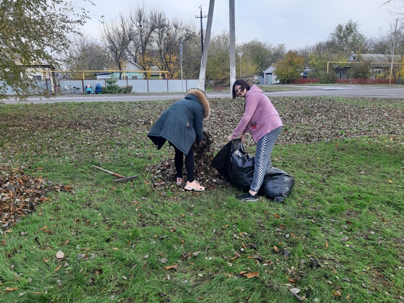 Постер к социальной практике: Природа - стимул к творчеству.