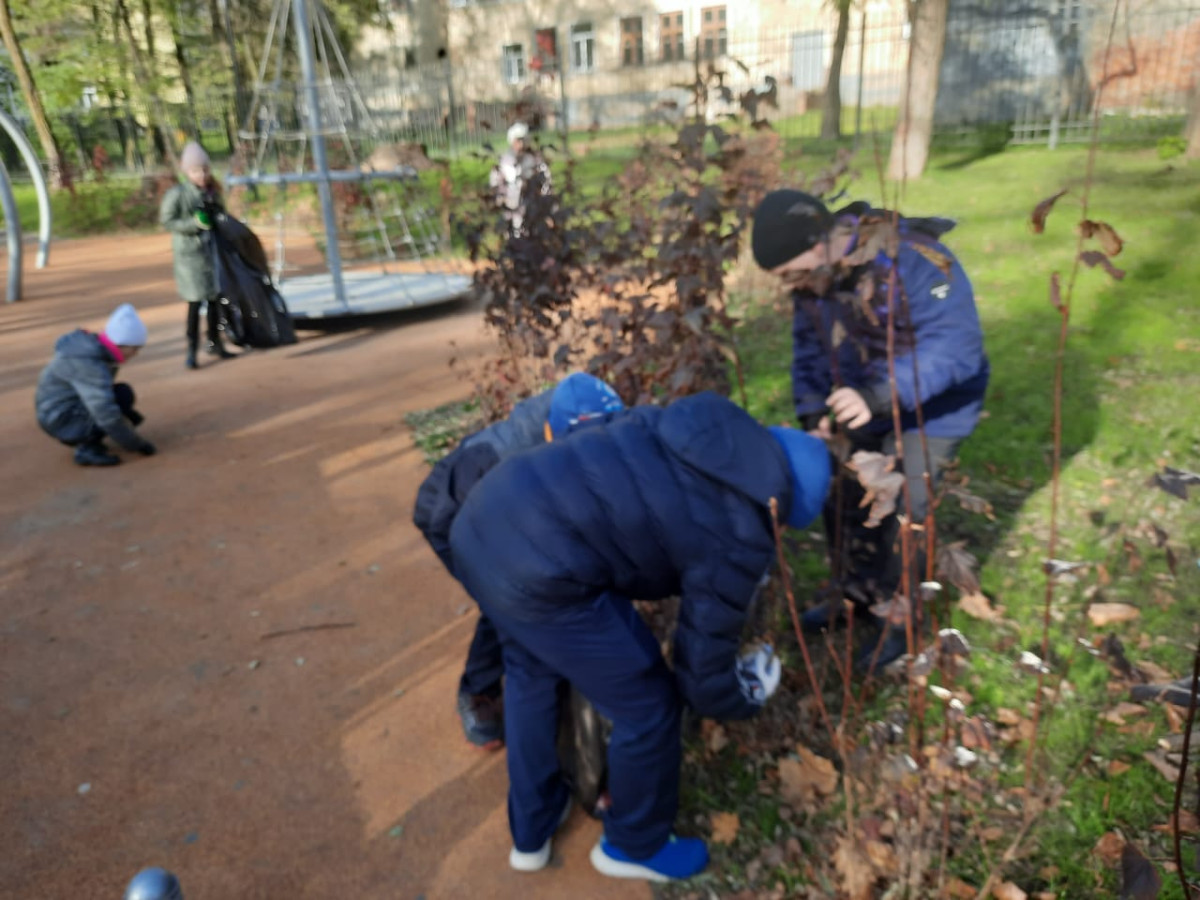 Постер к социальной практике: "Помоги природе!"