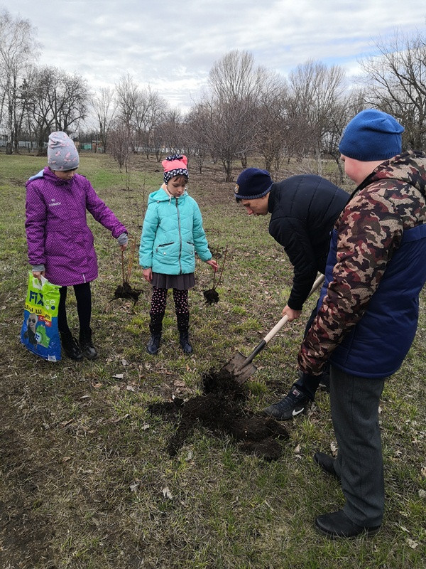 Постер к социальной практике: Облагораживание территории школы