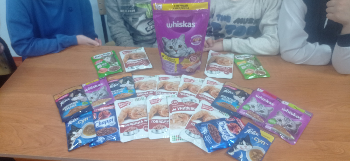 Постер к социальной практике: Поможем бездомным животным вместе