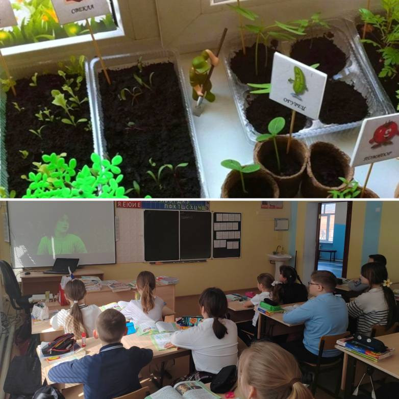 Постер к социальной практике: Экологичность