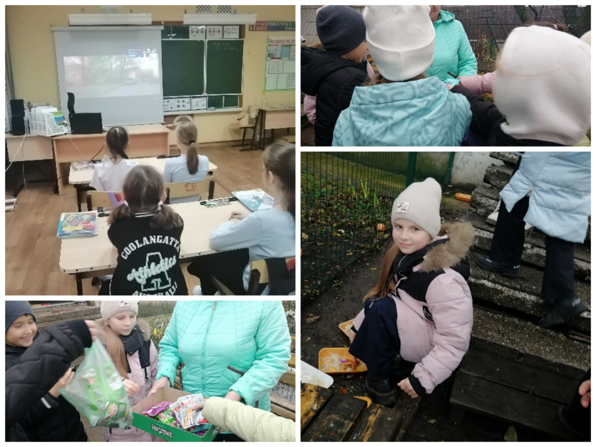 Постер к социальной практике: Жизнь - это постоянный выбор