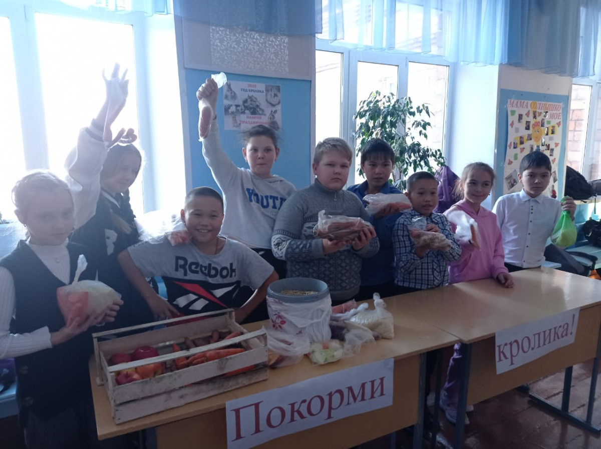 Постер к социальной практике: Покорми кролика!