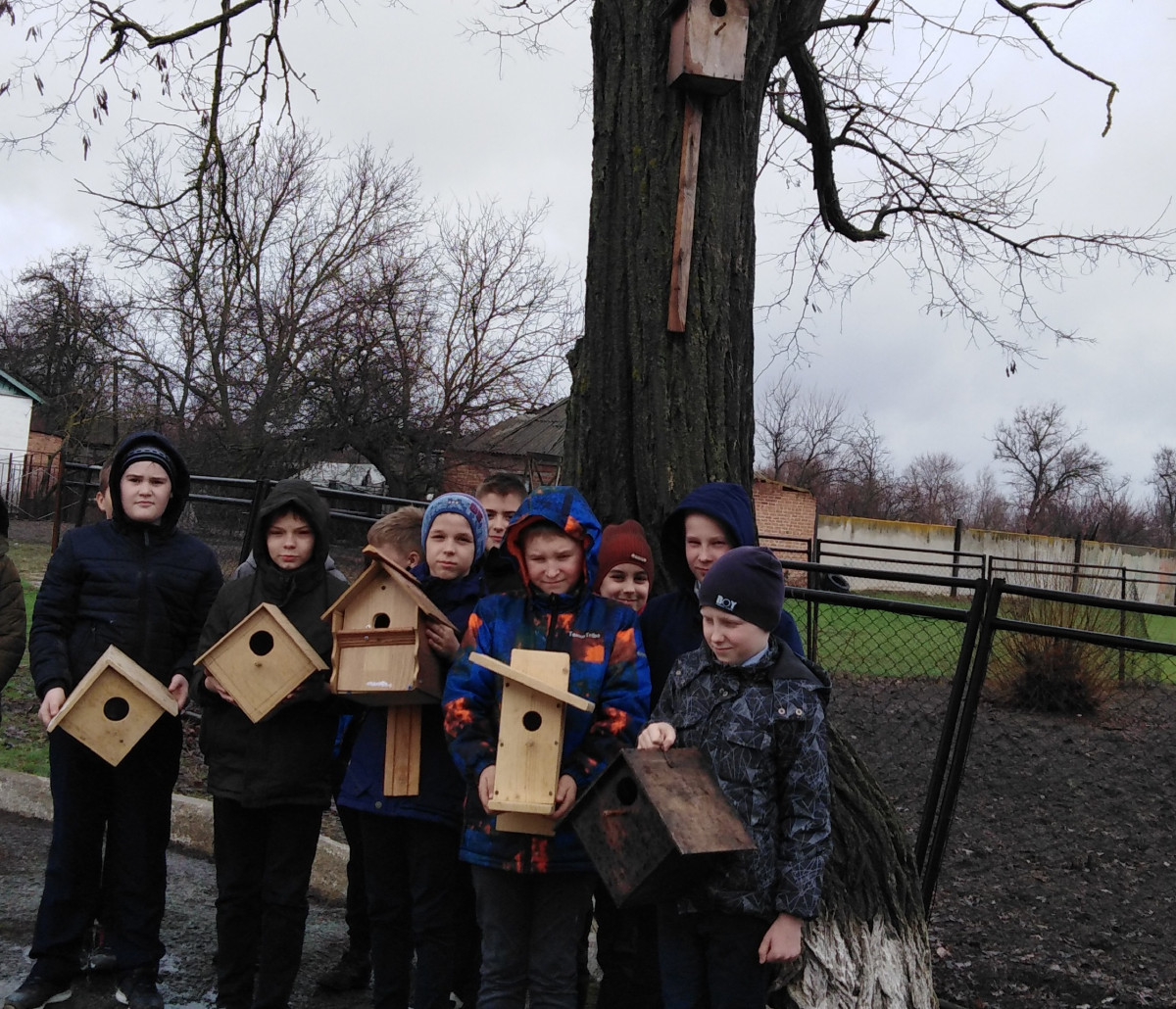 Постер к социальной практике: Наши меньшие братья