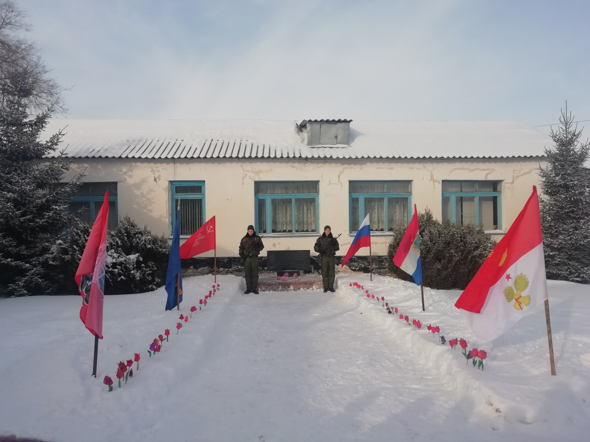 Фотография социальной практики №37275 - Акция "Красный тюльпан"