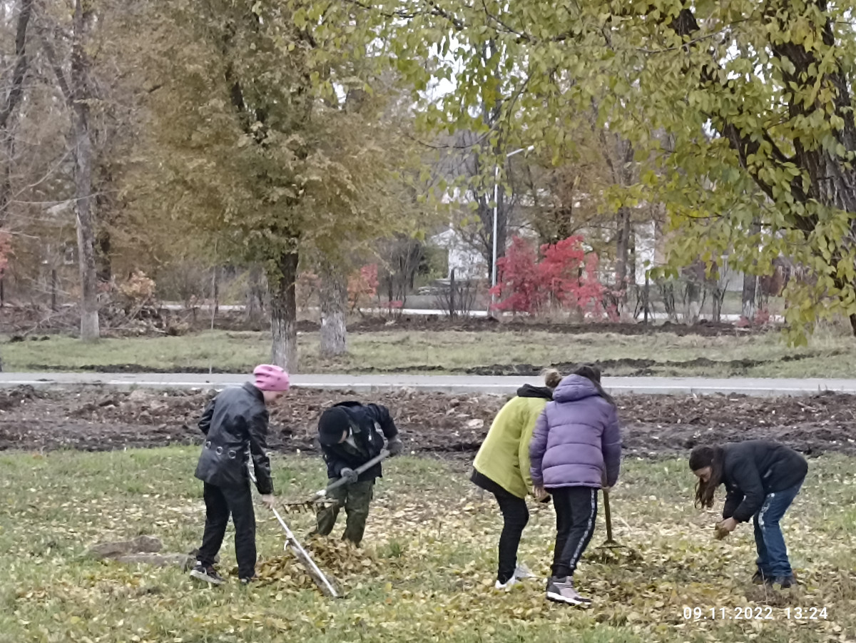Постер к социальной практике: Труд  в помощь!