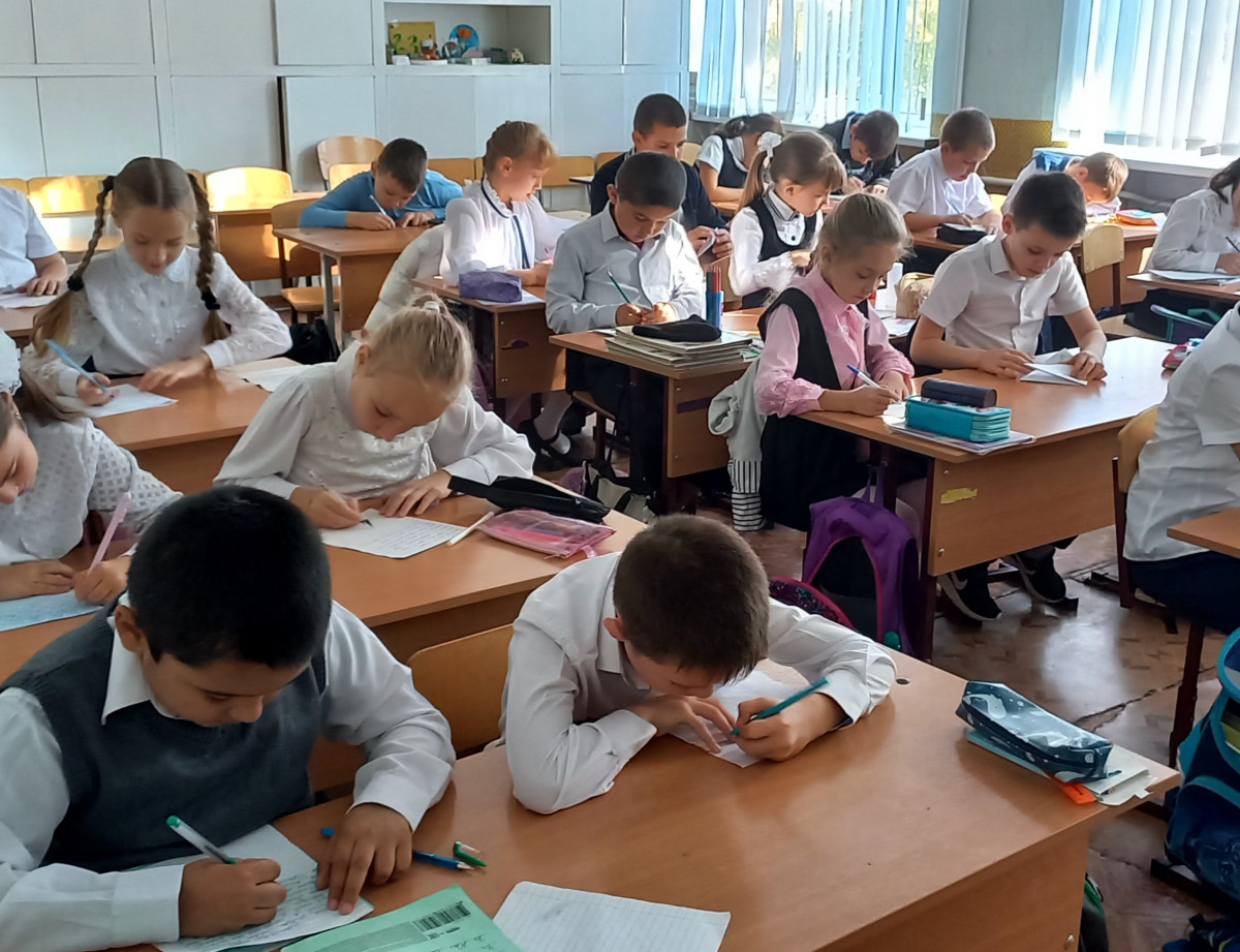 Постер к социальной практике: Письма солдатам