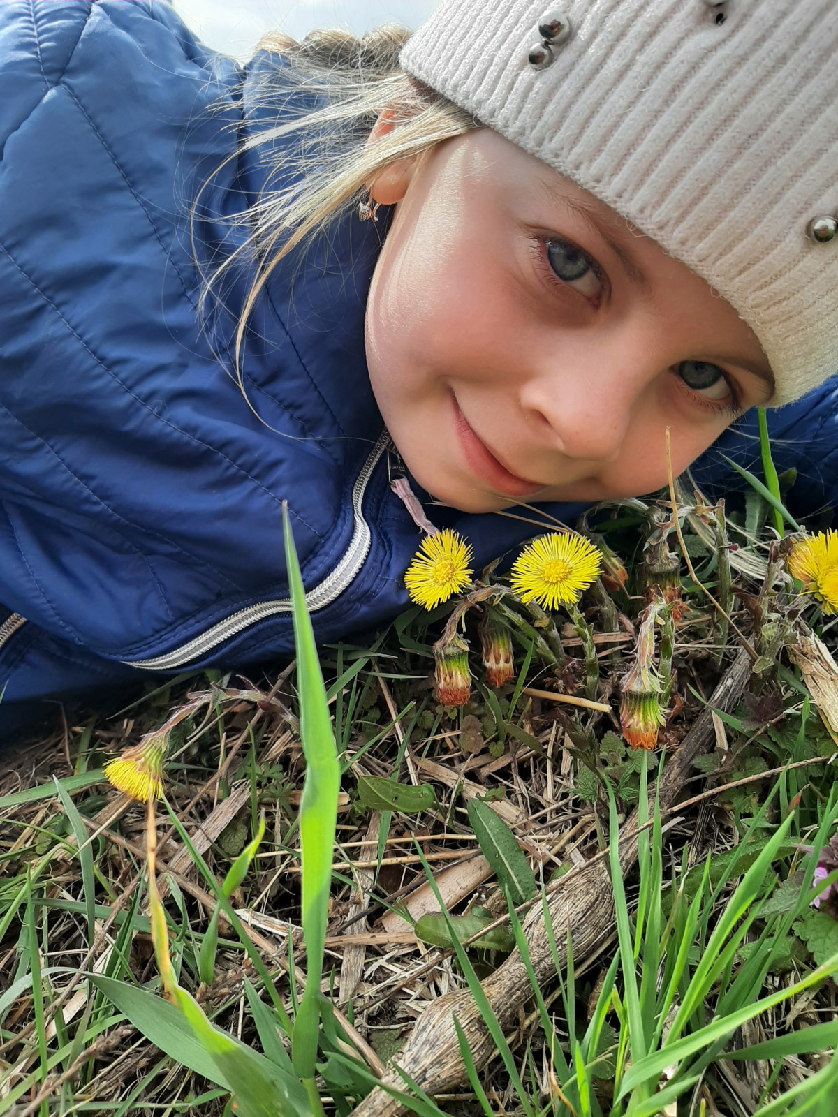 Постер к социальной практике: Защита первоцветов - наше общее дело!