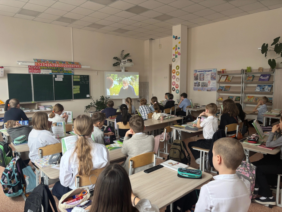 Постер к социальной практике: Добрый котик