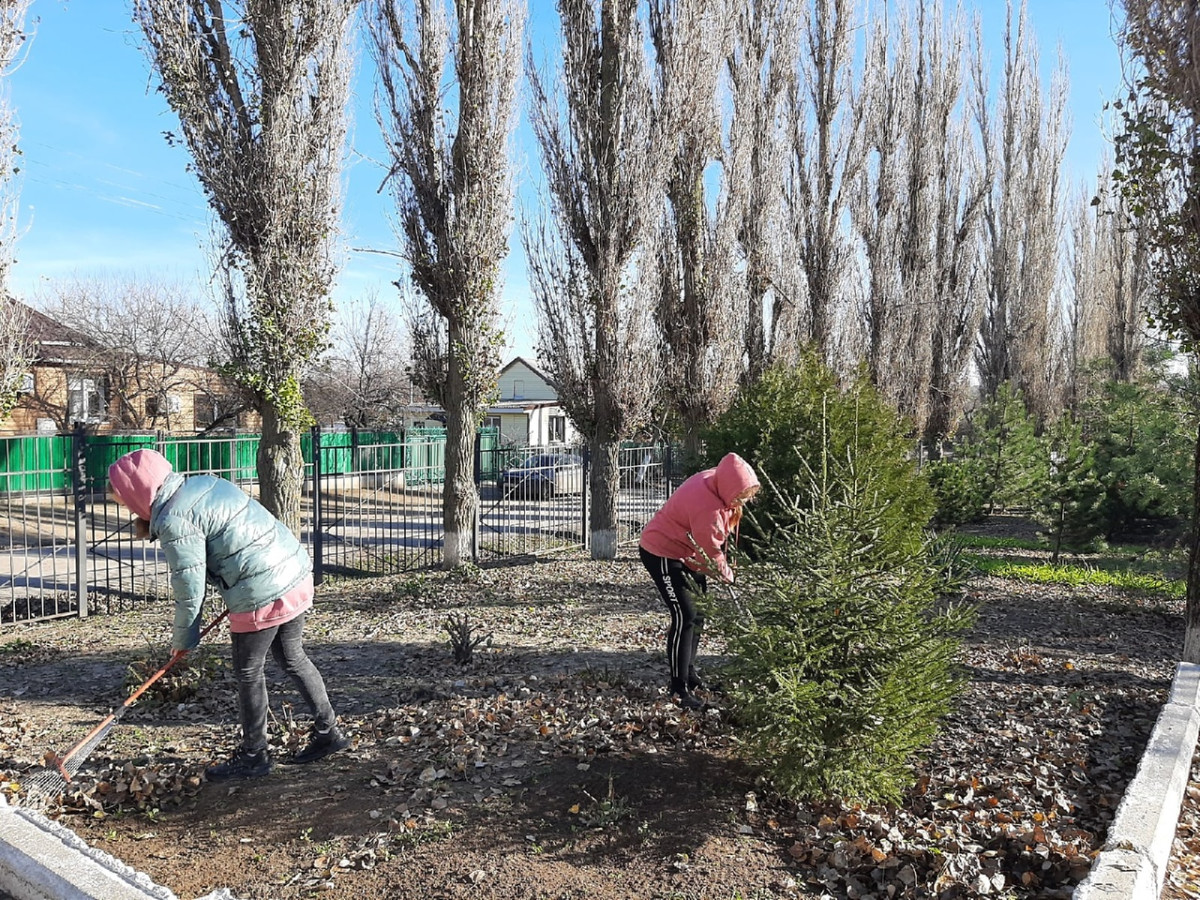 Постер к социальной практике: Акция "Мой чистый школьный двор"