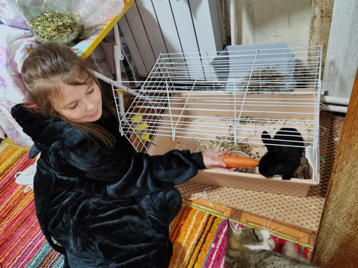 Постер к социальной практике: День добрых дел
