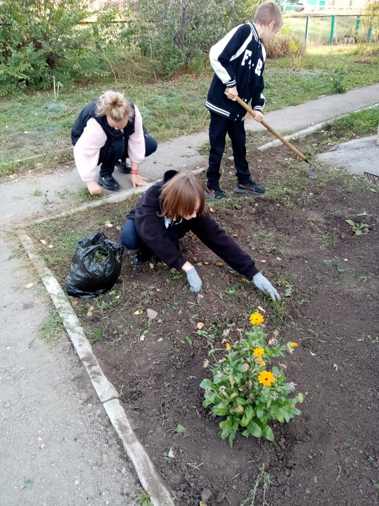 Постер к социальной практике: Землю красит солнце, а человека — труд.