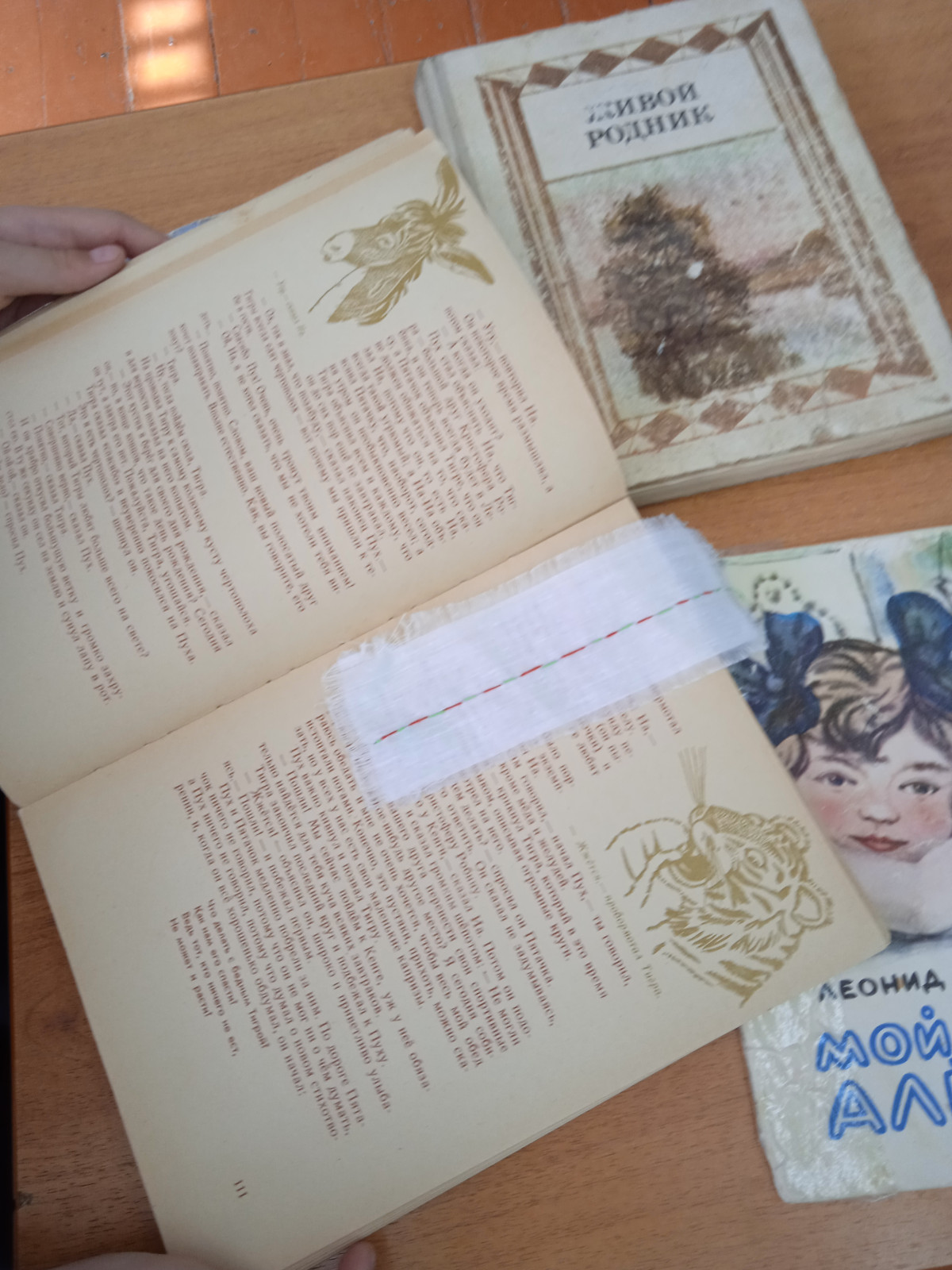 Постер к социальной практике: "Мы дружим с книгами!"