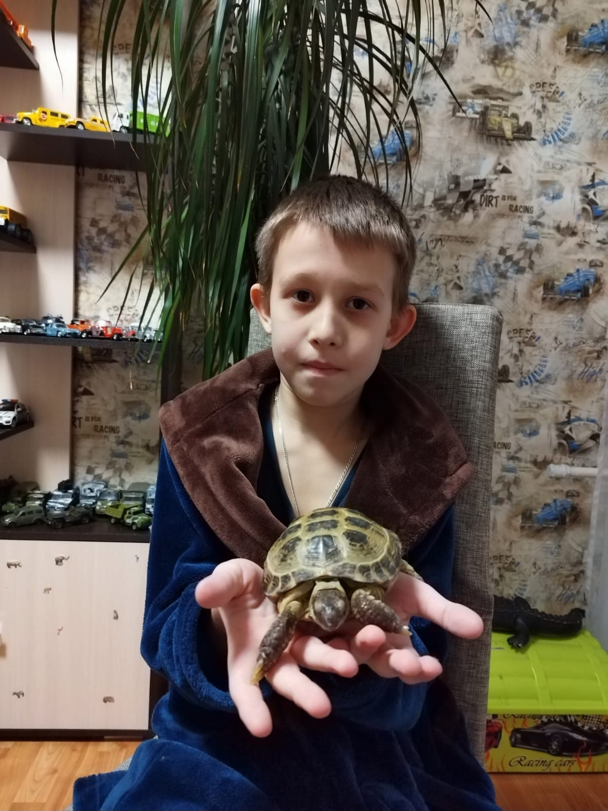 Постер к социальной практике: Мой нежный и ласковый зверь. По фильму Честь имею.