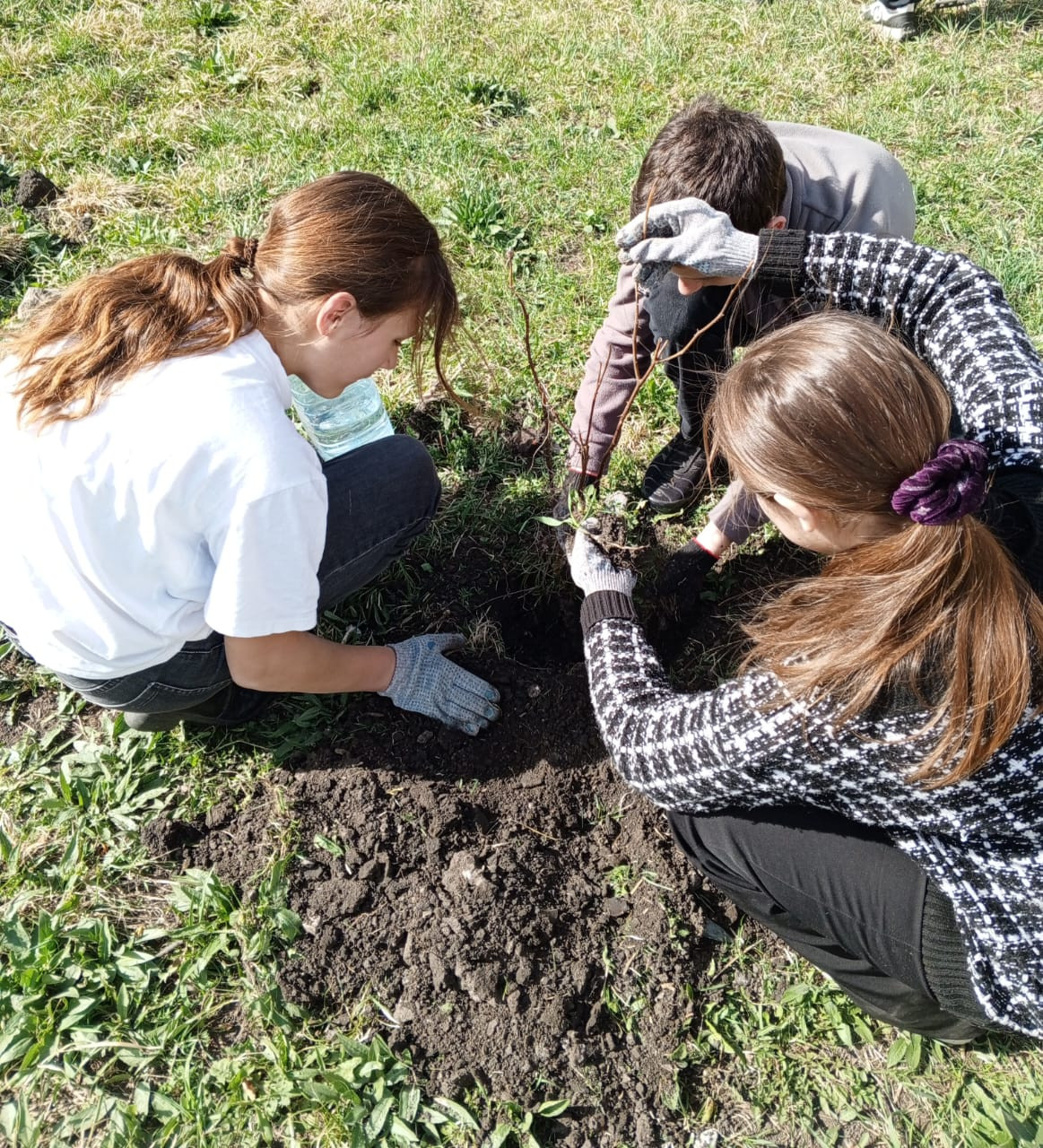 Постер к социальной практике: Благое дело для родной школы