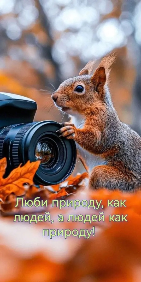 Постер к социальной практике: Когда забота становится искусством