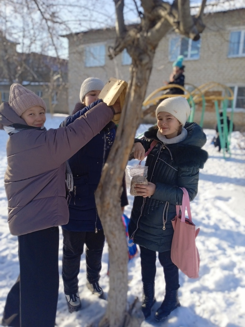 Постер к социальной практике: Акция "Покорми птиц зимой"