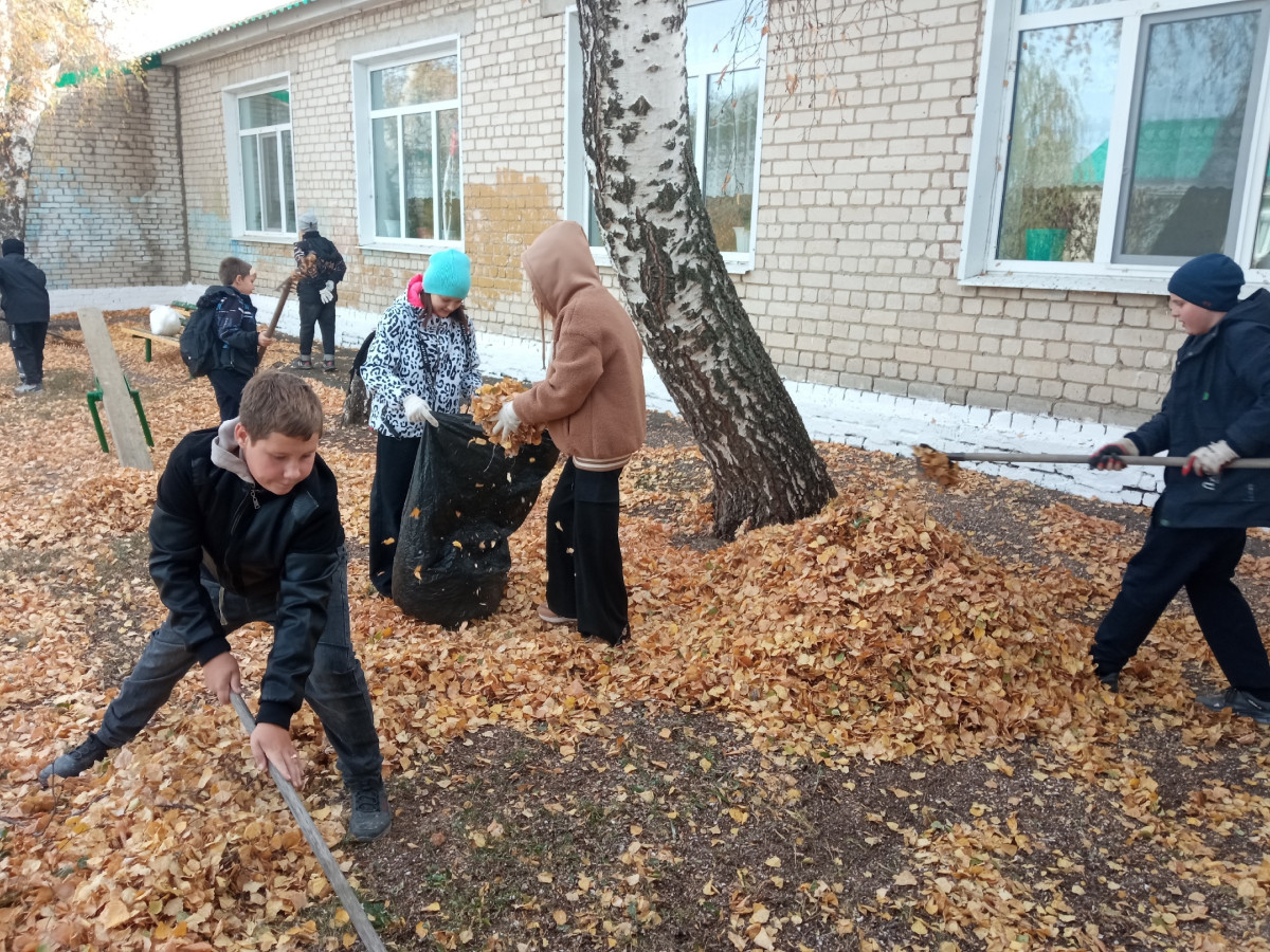 Фотография социальной практики №75684 - "От потребителя к созидателю"