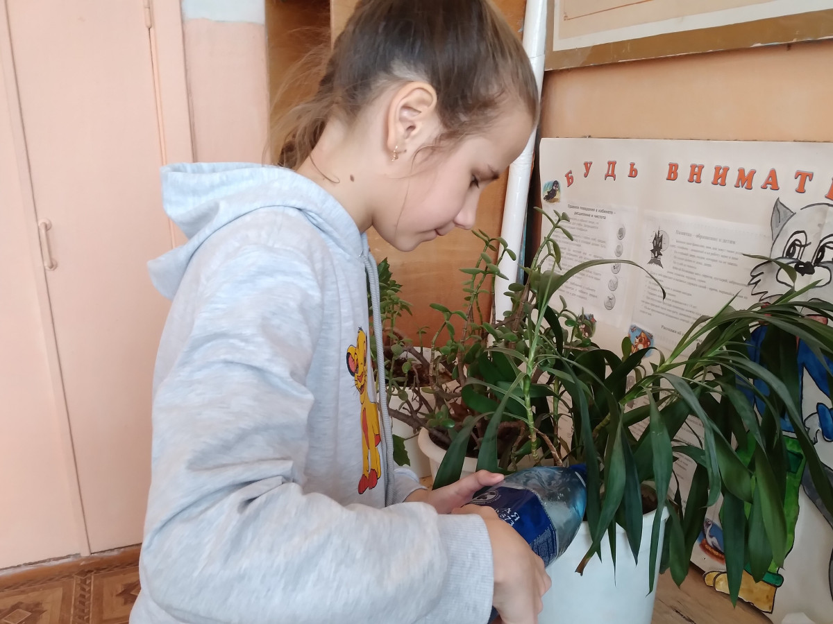Постер к социальной практике: Сохраним жизнь на Земле
