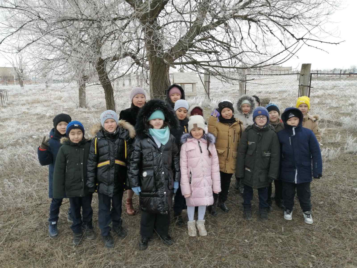 Постер к социальной практике: Мы помогаем птицам зимой