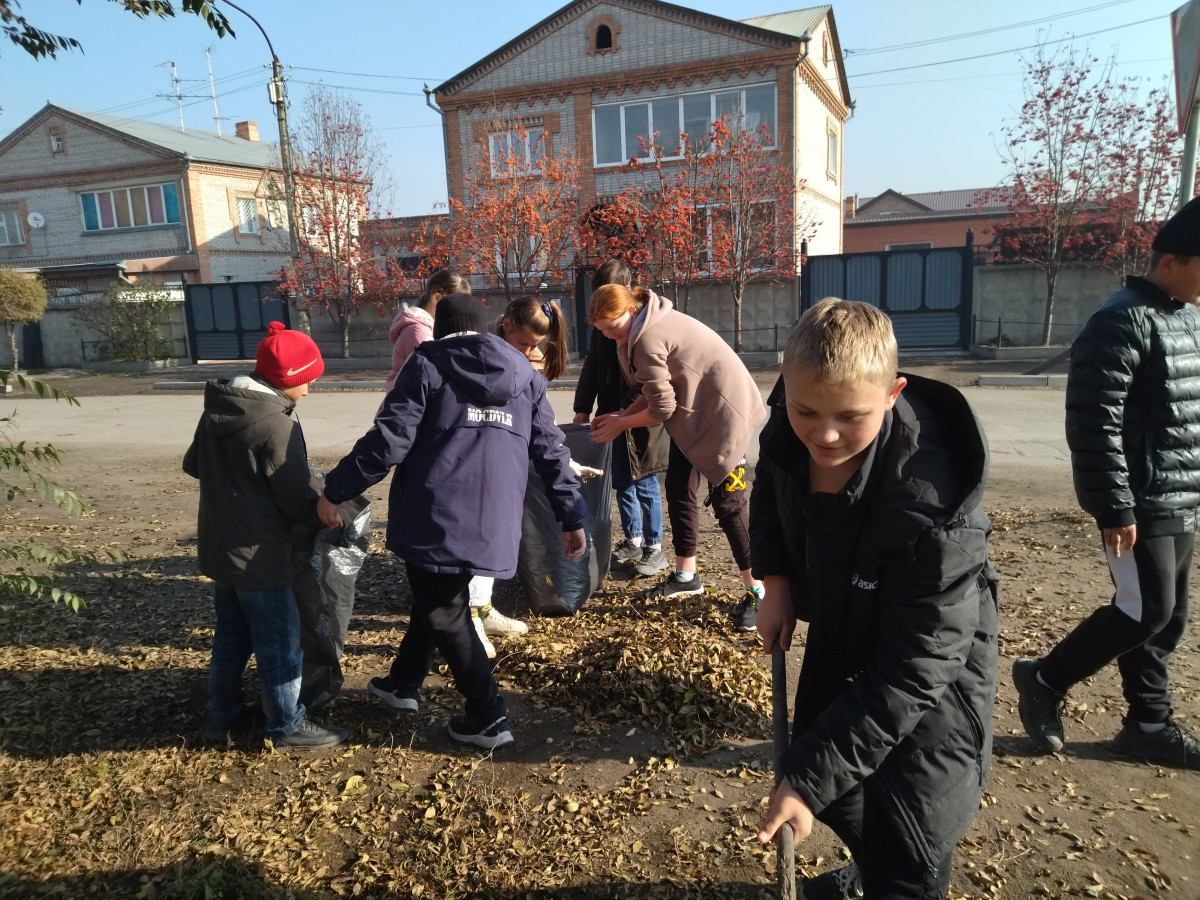 Постер к социальной практике: Мы очистим мать - природу