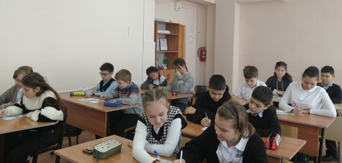 Постер к социальной практике: Новогодняя открытка солдату!