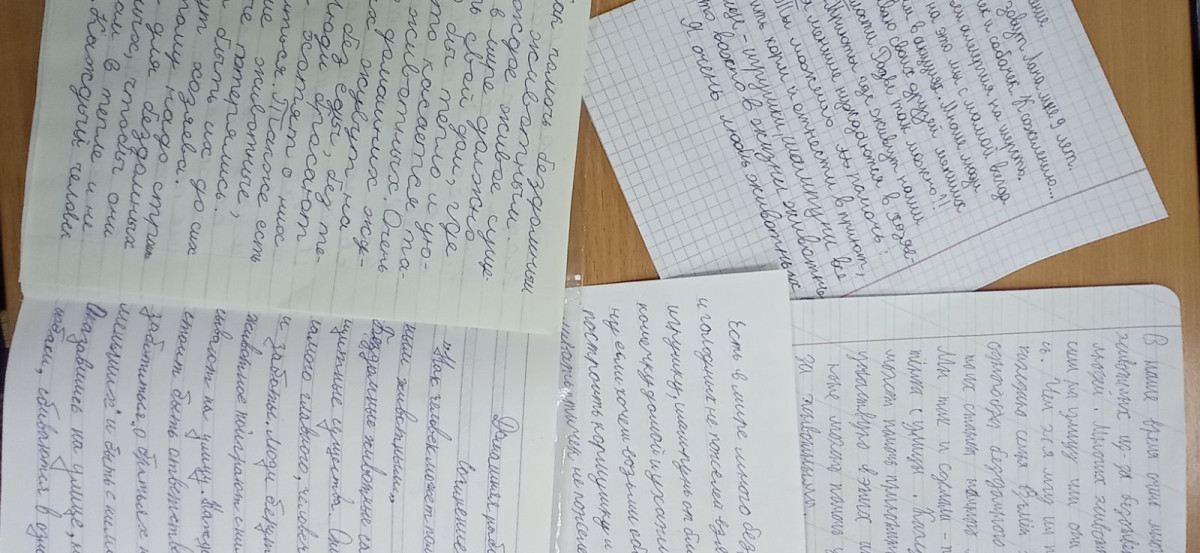 Постер к социальной практике: Помогите нам спасти лучших друзей человека