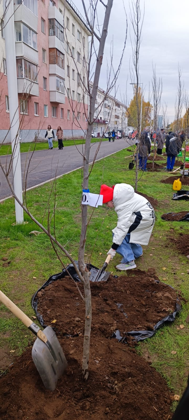 Постер к социальной практике: Верность мечте