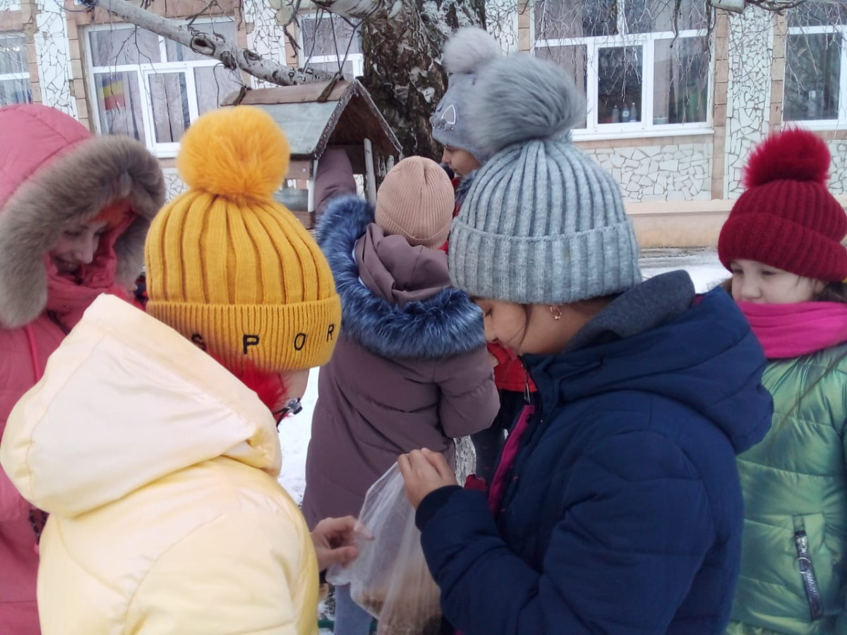Постер к социальной практике: Помоги птицам зимой