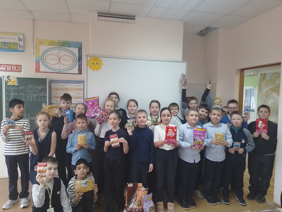 Постер к социальной практике: Помощь братьям нашим меньшим.