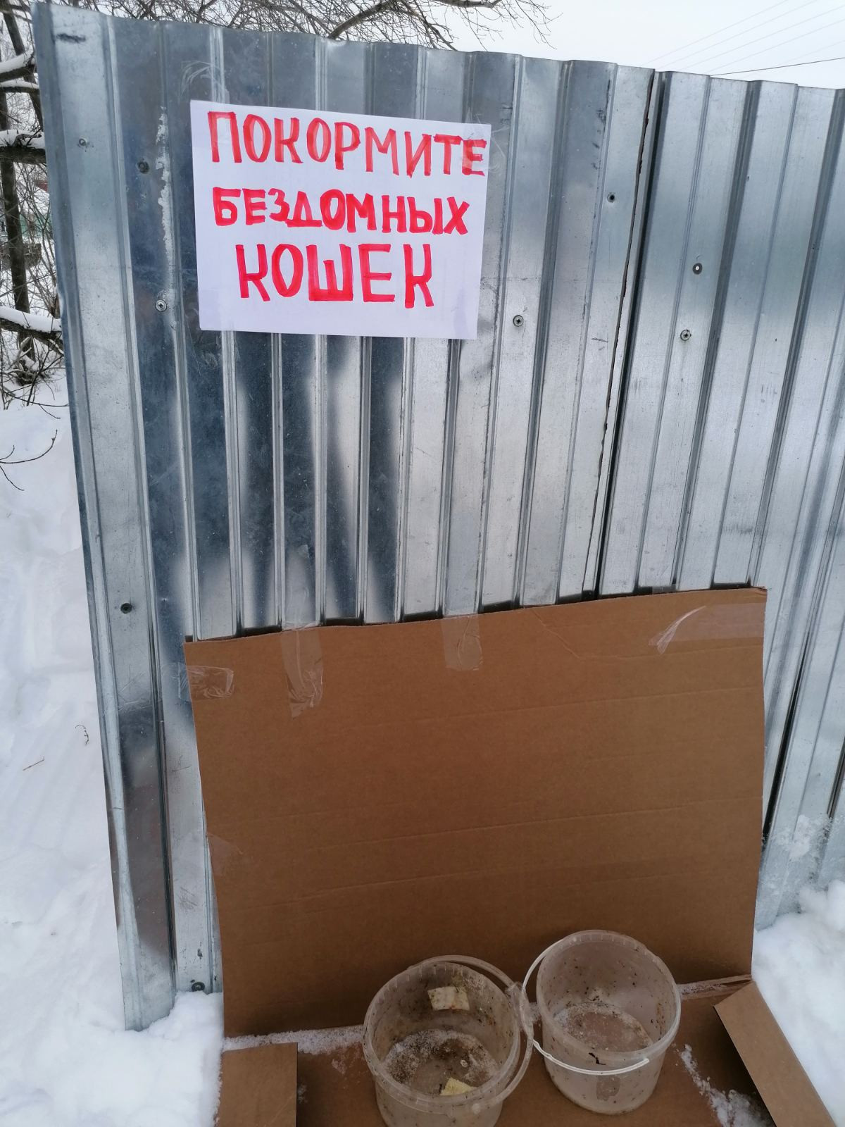 Постер к социальной практике: Поможем бездомным животным