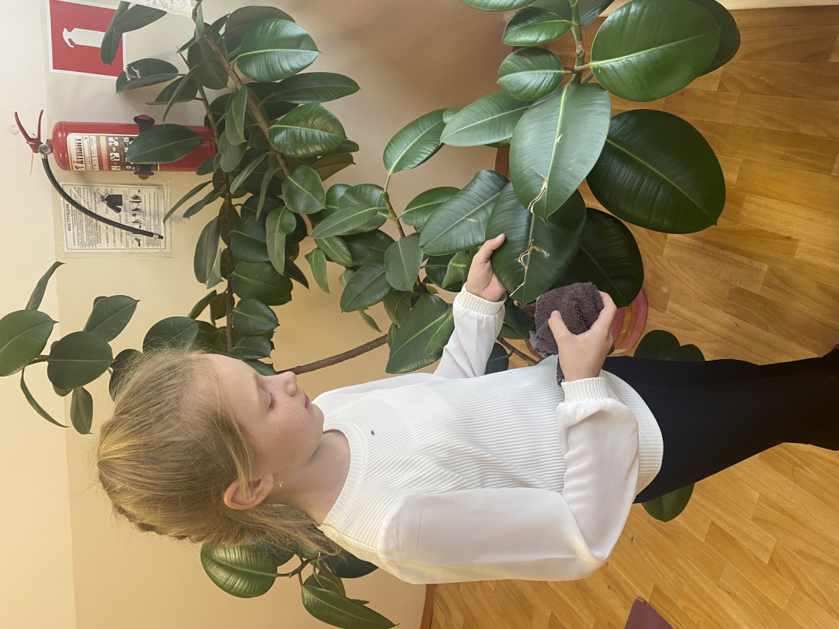 Постер к социальной практике: Жить в  согласии с природой