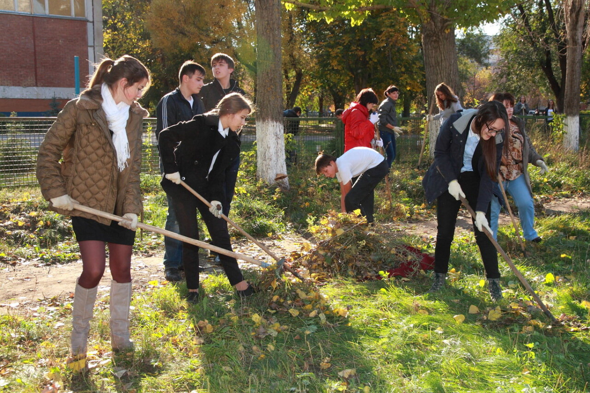 Постер к социальной практике: Чистый двор