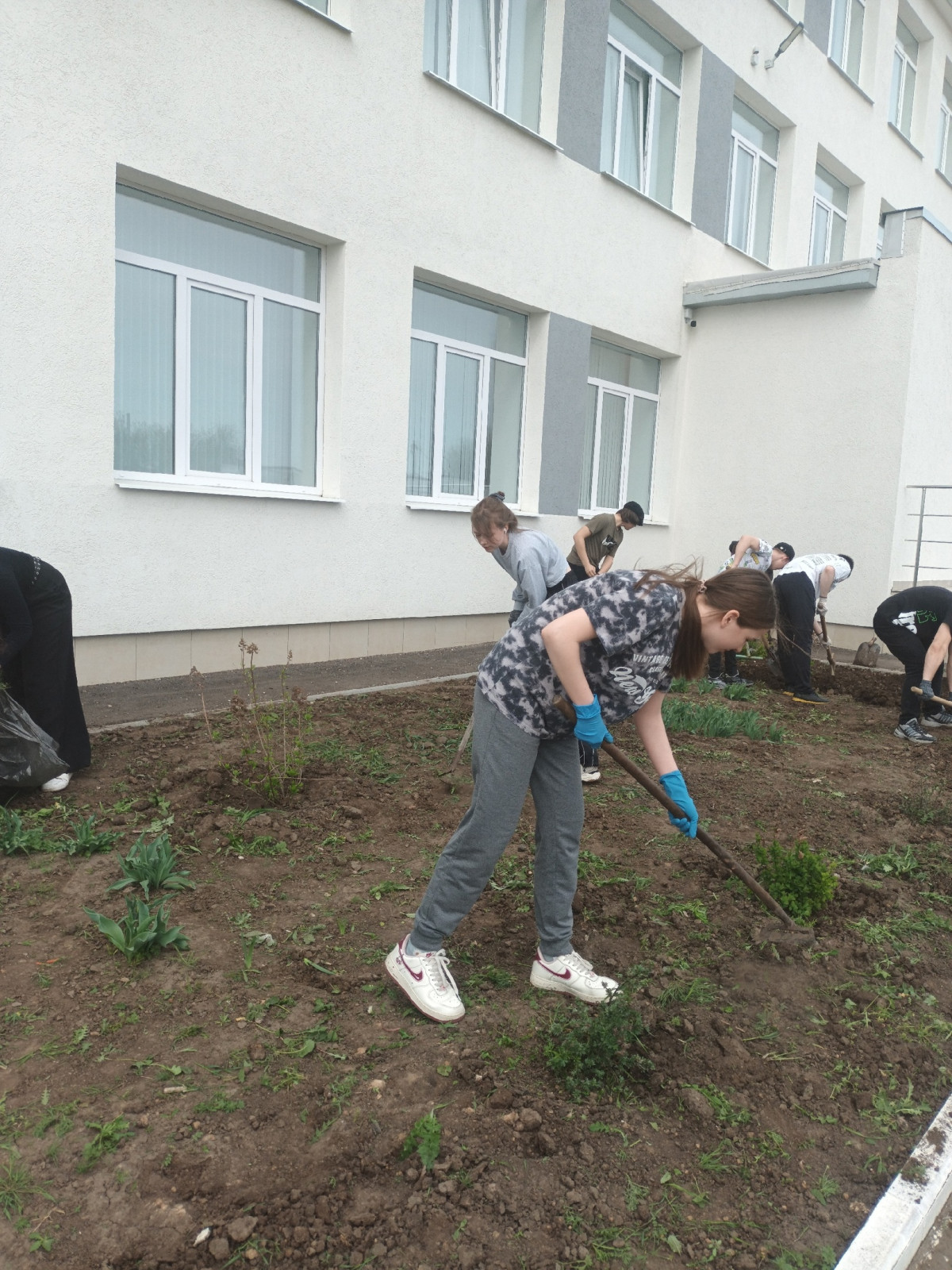 Постер к социальной практике: Партнерство с природой