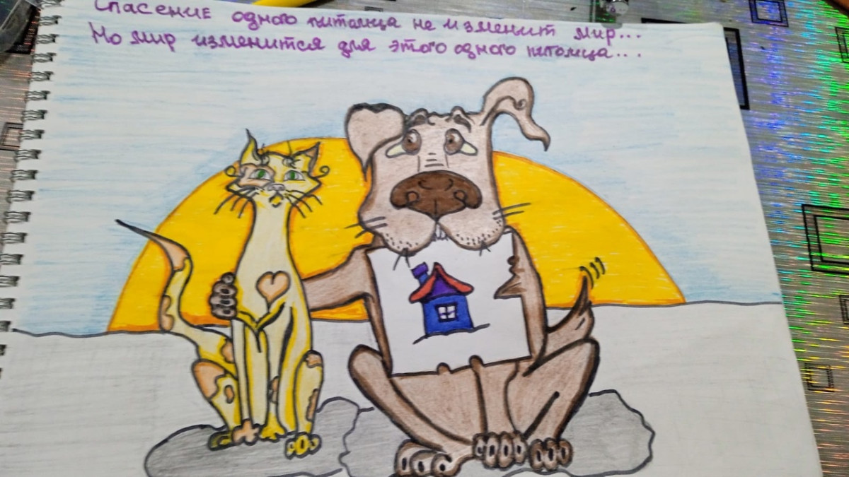Постер к социальной практике: Мы в силах помочь!