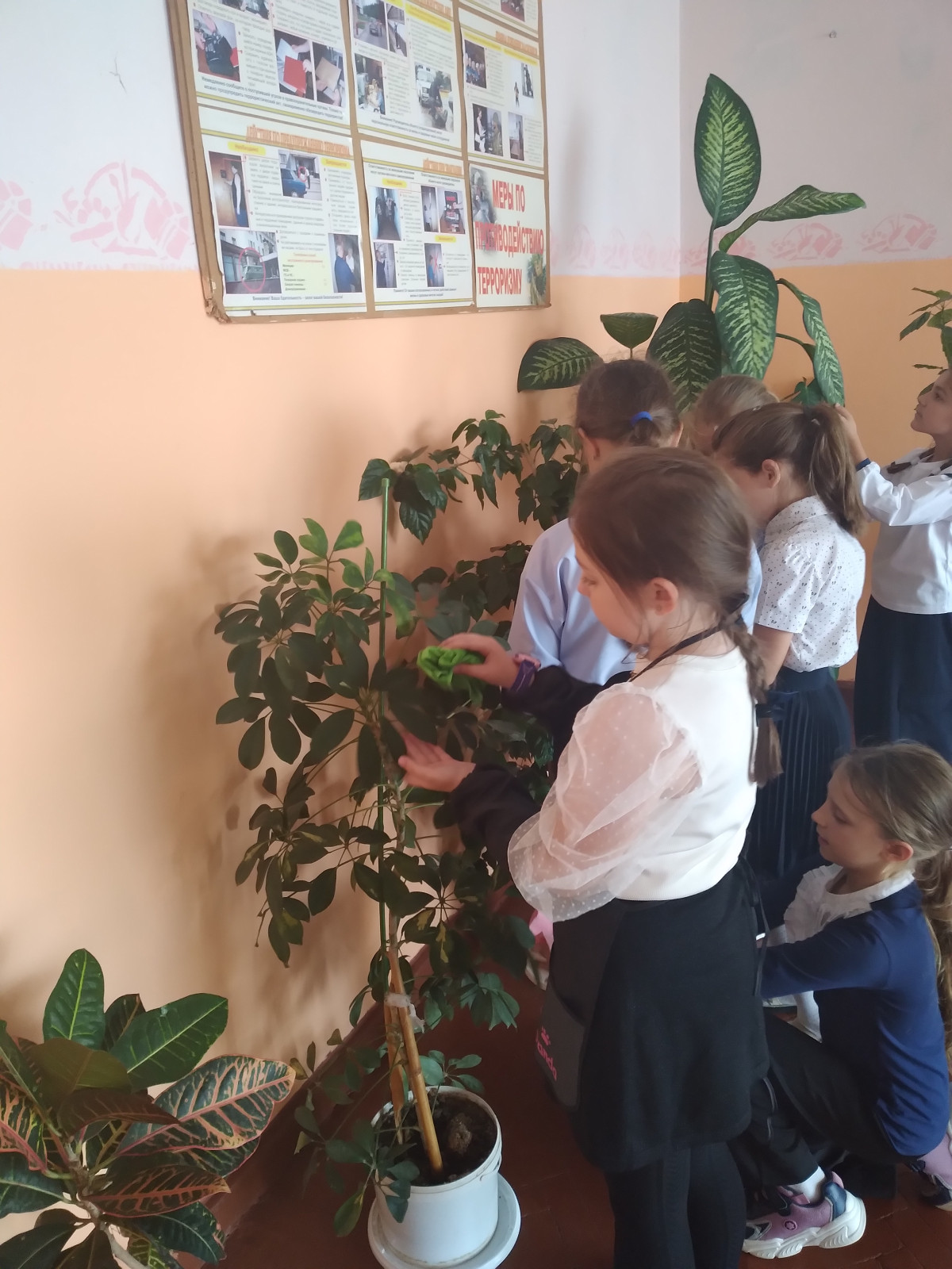 Постер к социальной практике: Доброе дело без награды не остаётся