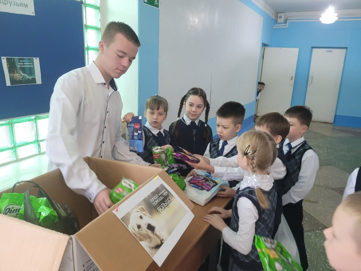 Постер к социальной практике: Сбор корма животным в приюте