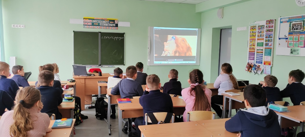 Постер к социальной практике: Добро без границ