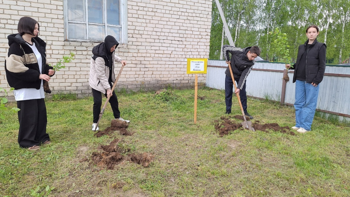 Постер к социальной практике: Сад памяти