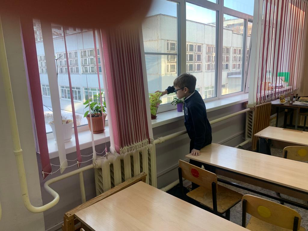 Постер к социальной практике: Чистодей