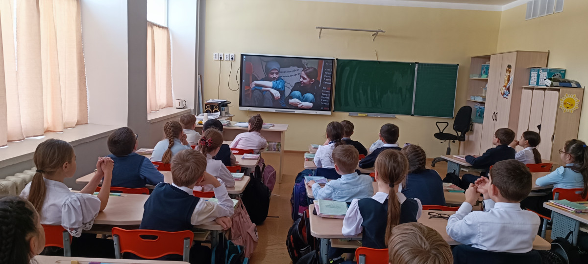 Постер к социальной практике: Помогаем братьям нашим меньшим